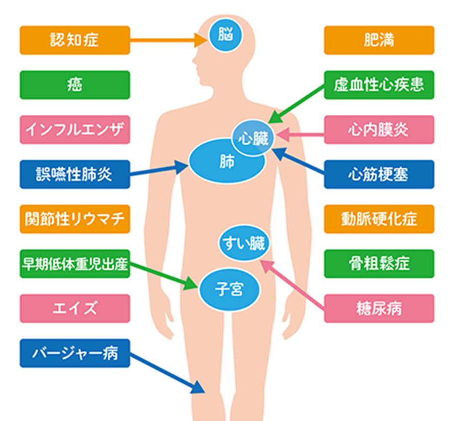 歯周病と全身疾患